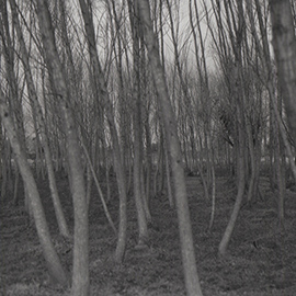 Fotografias, serie